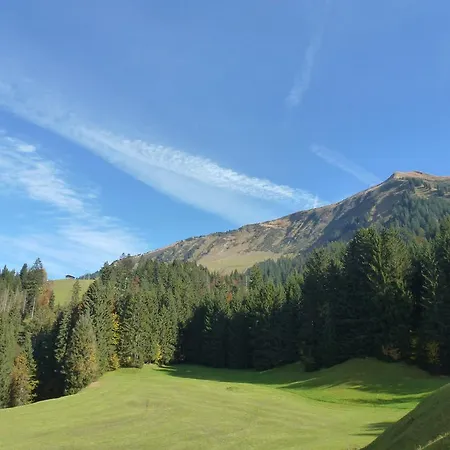 Walser Berg Hébergement de vacances Riezlern